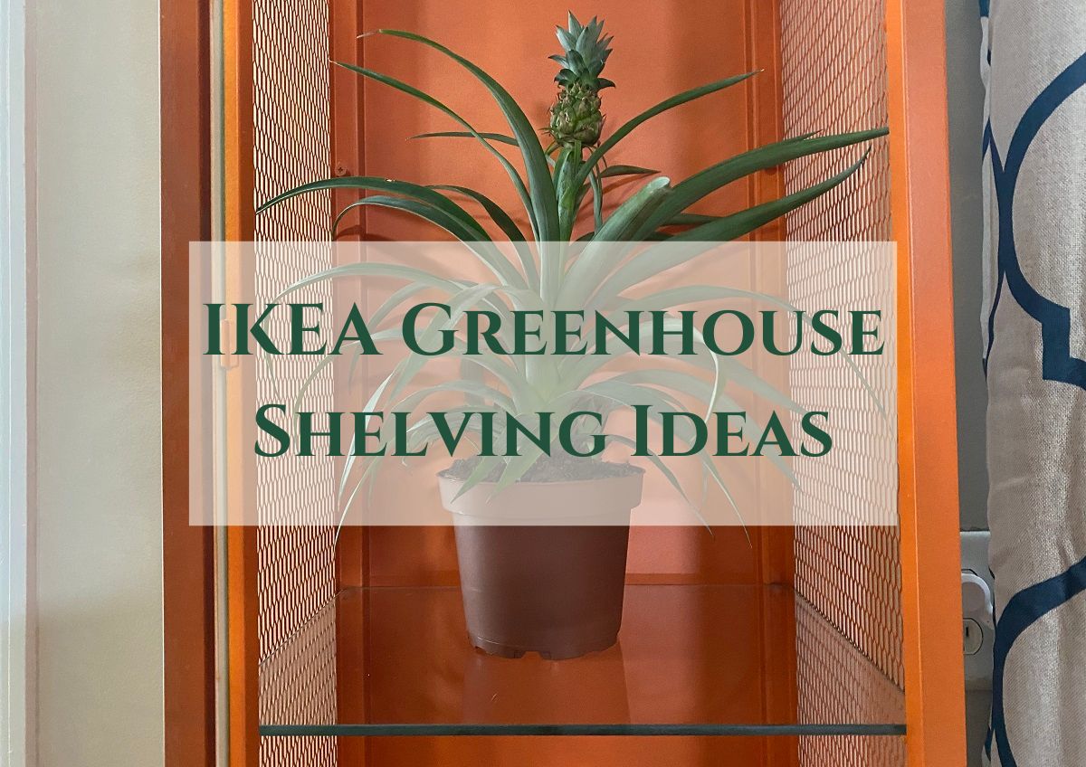 IKEA Greenhouse Shelving Ideas