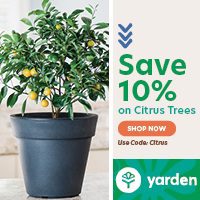 Yarden: Save 10% on citrus trees with promo code: CITRUS