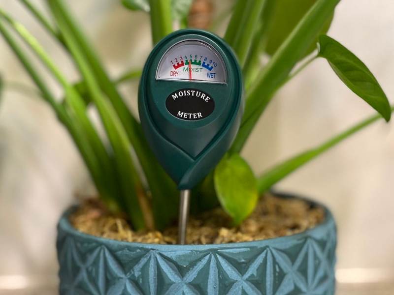 Using a Plant Water Meter – 7 Best Moisture Meters for Plants