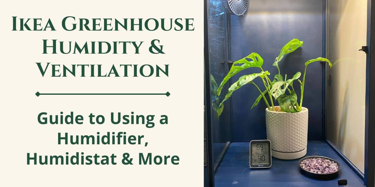 How to Perfect IKEA Greenhouse Humidity & Ventilation